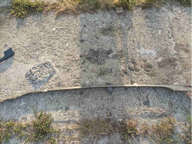 Поздовжні стрижні даху роги