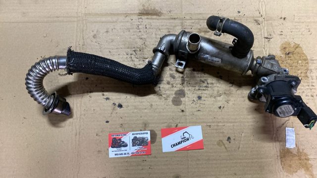 9646762280 FORD Радиатор системы EGR рециркуляции выхлопных газов купить в Одесса