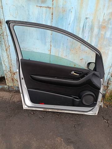 Двері передні, ліві — фото 4