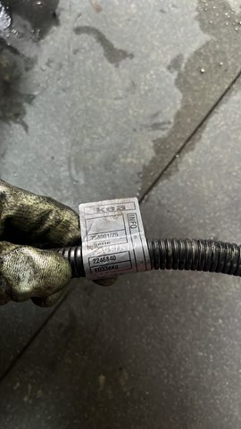 Плюсовий провід