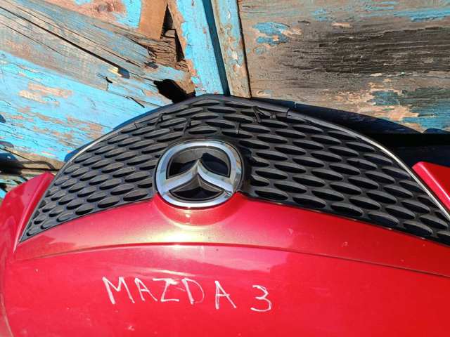 Емблема решітки радіатора — фото 1