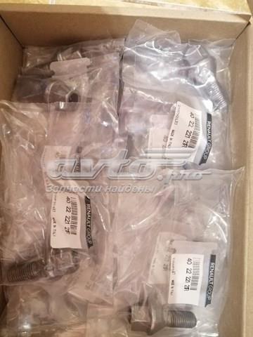 RENAULT 402222121R Колесный болт в наличии Хмельницкий