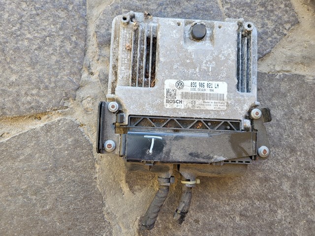 Компьютер двигателя 03G906021LN VAG