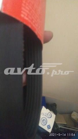 6PK1640 GATES Ремень генератора купить в Одесса