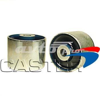 FRD5001 Caster