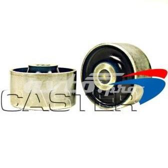 RGR8531 Caster