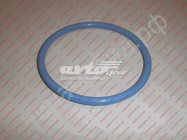 T111106611 CHERY Уплотнитель топливного насоса купить в Черновцы