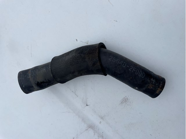 HYUNDAI 256402F000 Трубка (шланг) масляного радиатора, обратка (низкого давления) в наличии Житомир