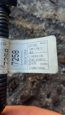 GM 95483950 в наличии Николаев