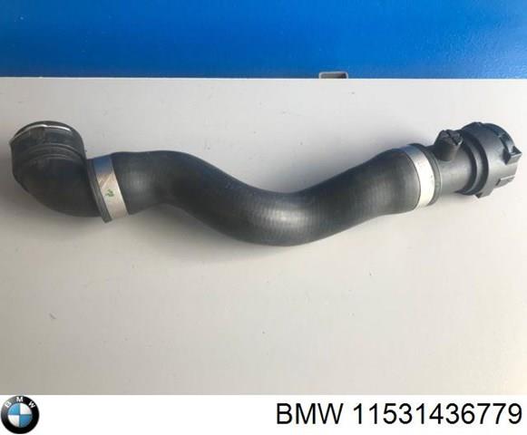 11531436779 BMW