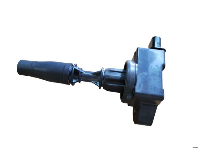 GM 12666339 Катушка зажигания в наличии Тернополь