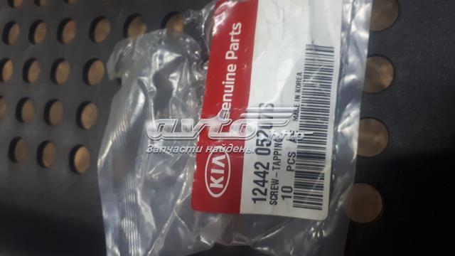 Hyundai kia 1244205207b