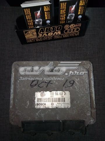 038906018GM VAG Модуль управления (ЭБУ) двигателем купить в Тернополь