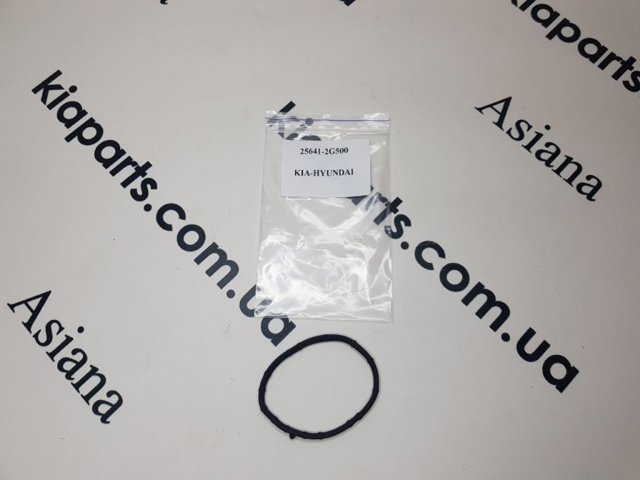 Прокладка корпуса термостата 256412G500 HYUNDAI