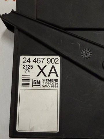 OPEL 313203739 в наличии Каменское