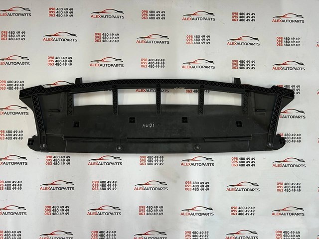 Кенгурятник 8R0807233A VAG