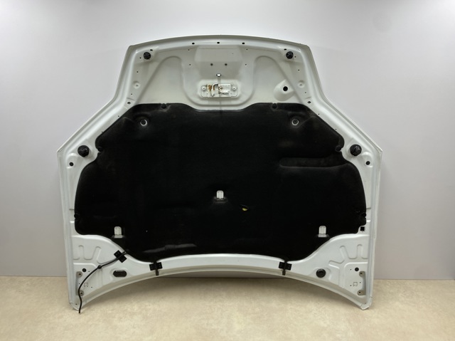 651000021R RENAULT Капот купить в Харьков