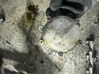 Механический вакуумный насос 06M145100L PORSCHE