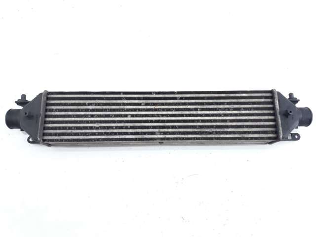 Система охлаждения наддувочного воздуха Fiat Doblo 2