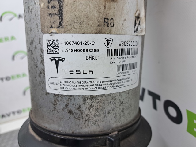 Амортизатор задней подвески, левый 106746125C TESLA