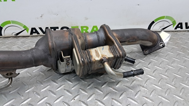 184006C1A01 HONDA купить в Одесса