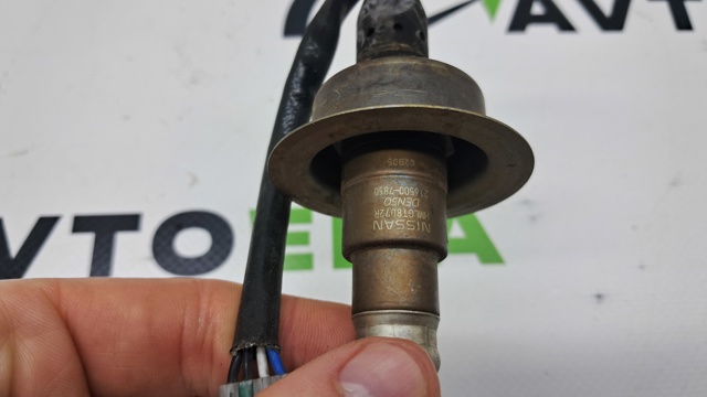 226936CA0B NISSAN купить в Черновцы