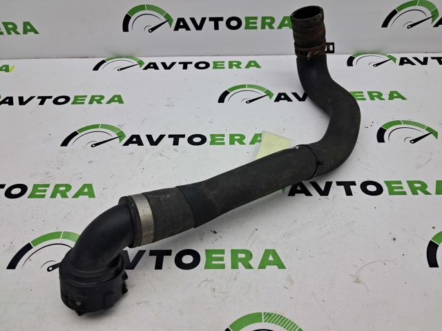 31439753 VOLVO Шланг (патрубок) радиатора охлаждения верхний купить в Украина