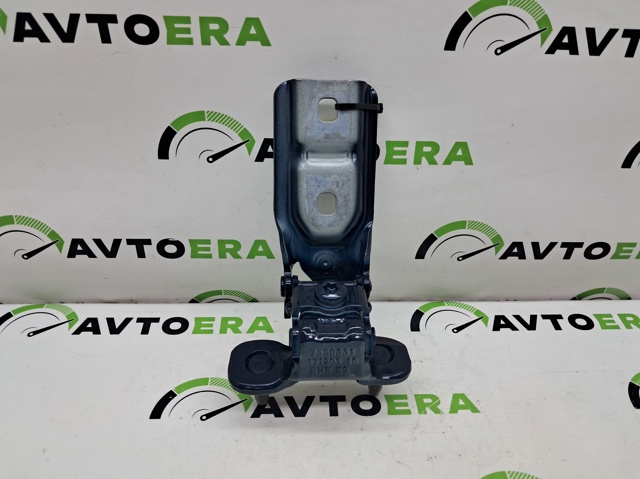 41007350829 Петля двери задней (багажной 3/5-й) купить Кривой Рог