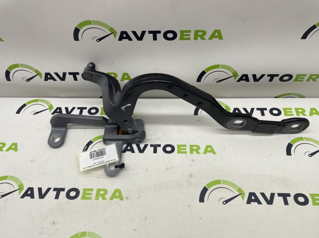 41007482677 BMW Петля крышки багажника купить в Ужгород