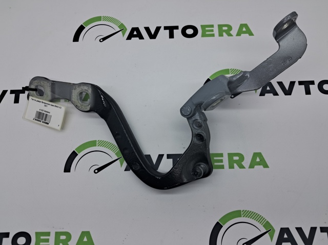 Петля двери задней (багажной 3/5-й) 41007494944 BMW