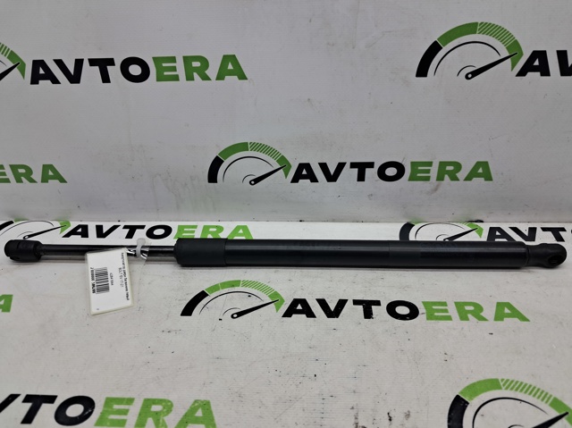Амортизатор для багажника газовый 42841644 GM