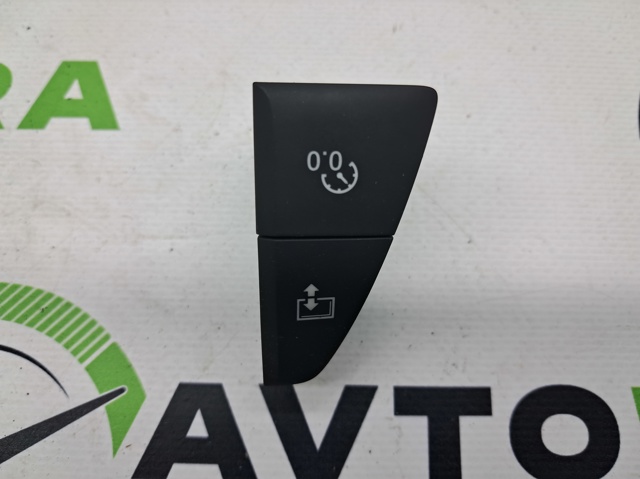 Кнопка сброса суточного пробега 4G19272276PS VAG