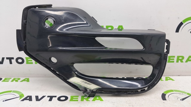 51118099732 BMW Ободок (окантовка) фары противотуманной правой купить в Чернигов