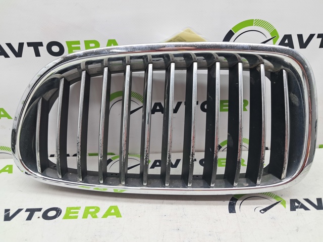 BMW 51137203649 Решетка радиатора левая в наличии Запорожье