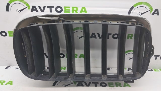 51137294485 BMW Решетка радиатора левая купить в Кривой Рог