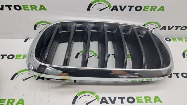BMW 51137294485 Решетка радиатора левая в наличии Каменское