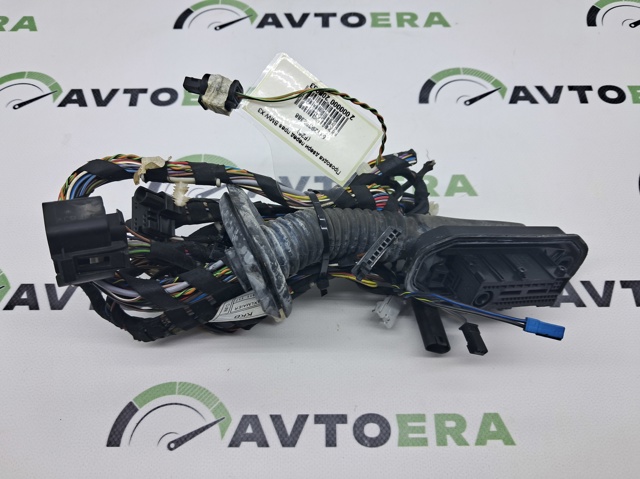 Электропроводка передней двери 61129252388 BMW
