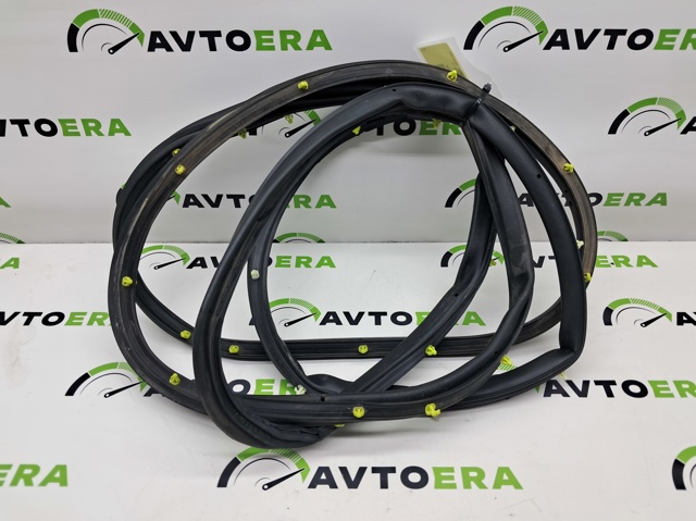 CHRYSLER 68103062AB Уплотнитель двери передней правой (на двери) в наличии Запорожье