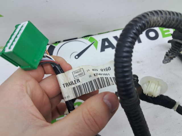 CHRYSLER 68347438AE в наличии Тернополь
