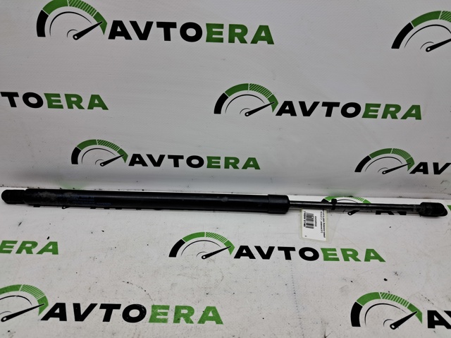 904506RR0B Амортизатор багажника купить Запорожье