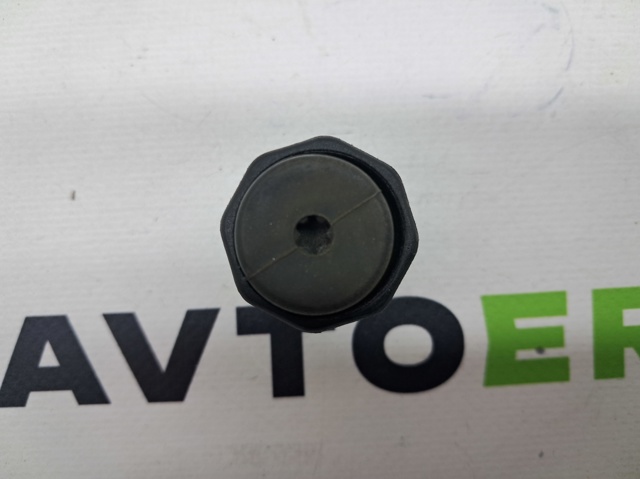 Кожух тормозного диска заднего правый E1GZ2C028A FORD