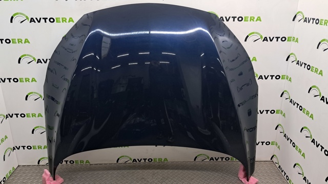 Капот двигателя FEA005NAMA NISSAN