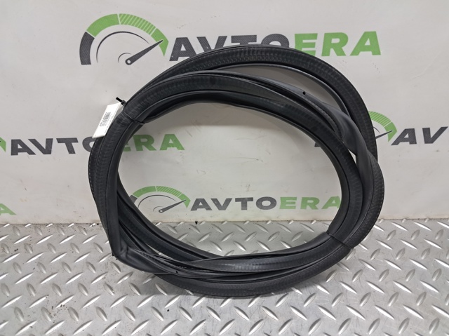 Уплотнитель двери задней, (на кузове) FT4Z58253A10B FORD