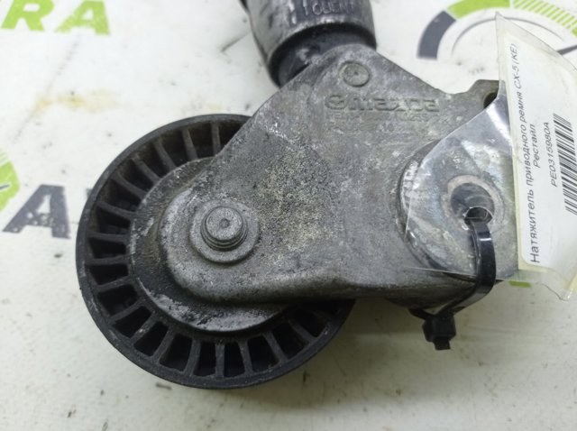 PE0315980A MAZDA Натяжитель приводного ремня купить в Кривой Рог