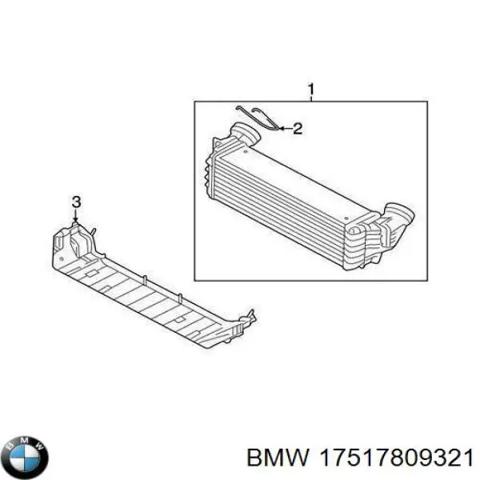 BMW 17517809321 Радиатор интеркуллера в наличии Полтава