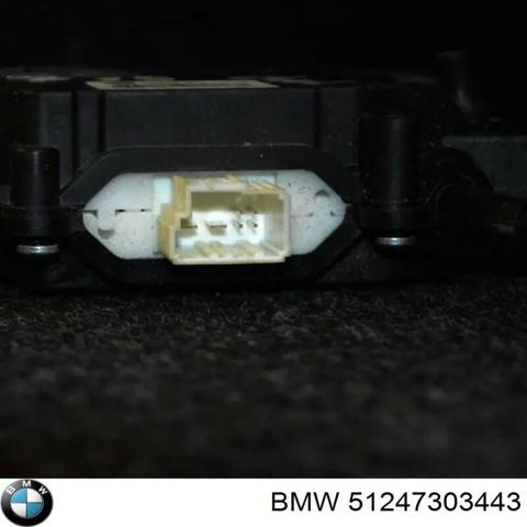 Мотор открытия замка багажника 51247303443 BMW