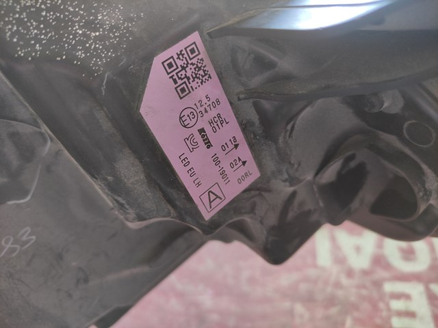 NISSAN 10019011 в наличии Николаев