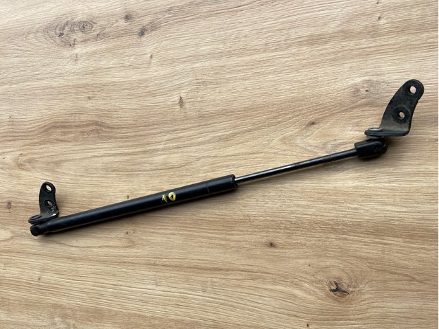 Амортизатор под капот Тесла Модел C