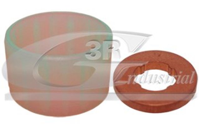 3RG 81246 Кольцо форсунки в наличии Запорожье