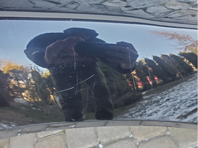 981503032 купить Черновцы